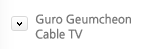 Guro Geumcheon Cable TV