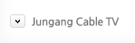 Jungang Cable TV