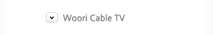 Woori Cable TV