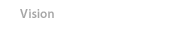 Vision